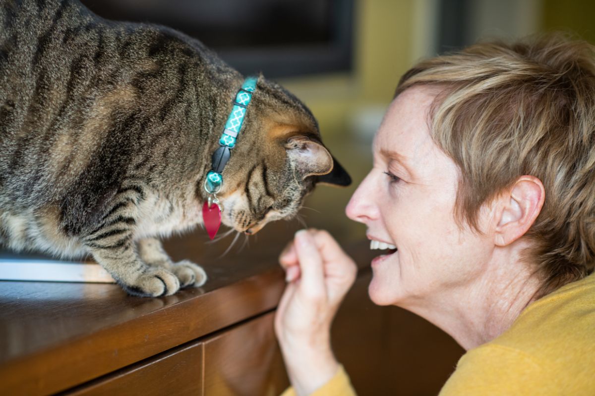 por-que-falamos-com-pets-como-se-fossem-gente,-segundo-a-psicologia