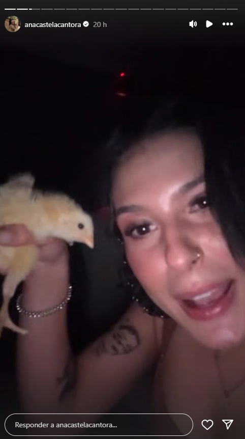 ana-castela-ganha-presente-incomum-de-fas-e-diverte-seguidores-com-reacao:-“meu-exercito”