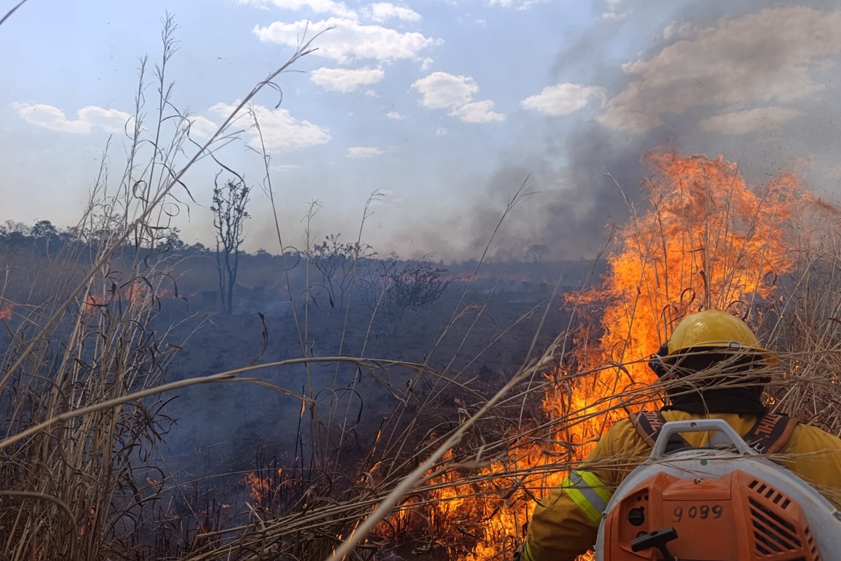 mapa-do-fogo:-area-queimada-este-ano-no-df-equivale-a-de-13-cidades-juntas