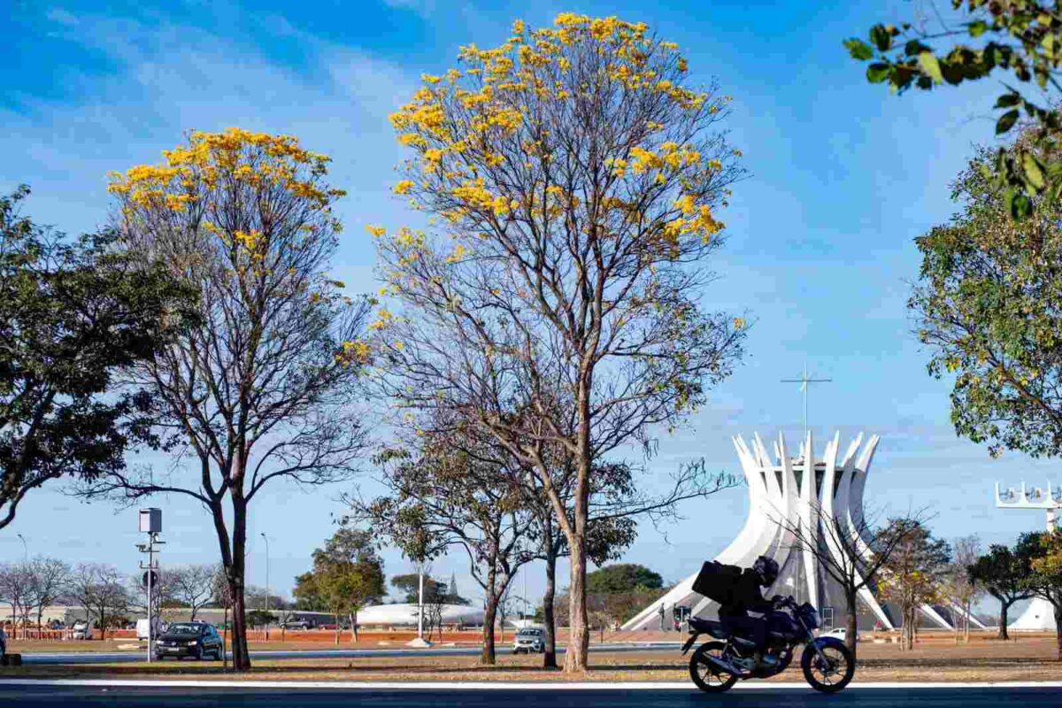 chegou-a-primavera!-estacao-comeca-no-df-com-calor-e-chuvas-isoladas
