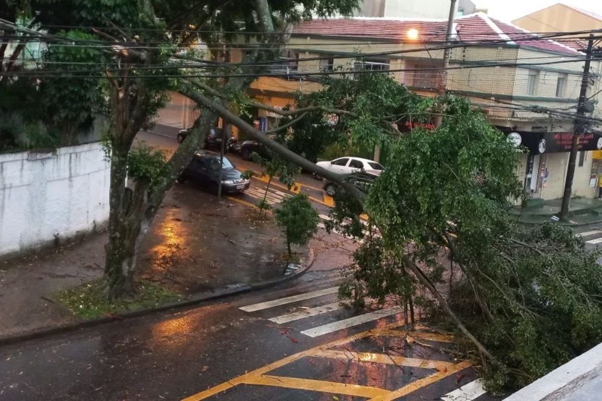 defesa-civil-emite-alerta-para-temporais-com-rajadas-de-vento-em-sp