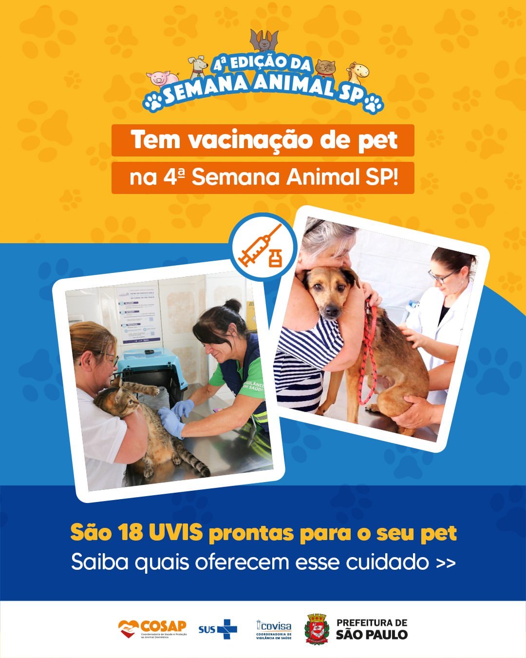 prefeitura-de-sp-realiza-evento-gratuito-para-vacinar-e-microchipar-pets
