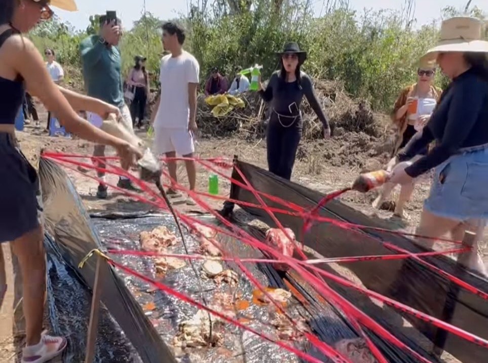 Imagens mostram universitários obrigados a desafios com animais mortos na Bolívia