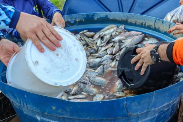 WhatsApp Image 2025-09-05 at 14.12.47 (1)