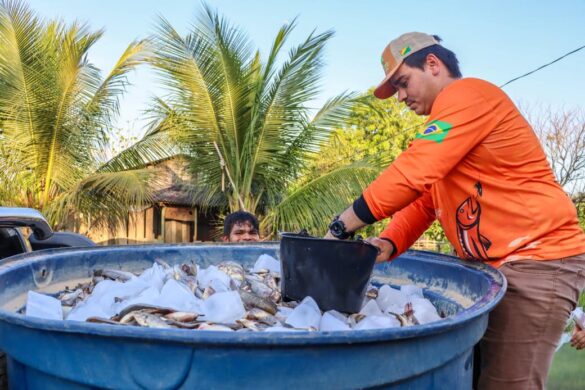 WhatsApp Image 2025-09-05 at 14.12.47 (2)