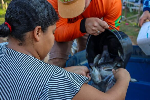 WhatsApp Image 2025-09-05 at 14.12.47