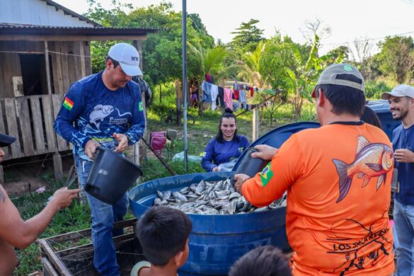 WhatsApp Image 2025-09-05 at 14.12.51 (1)