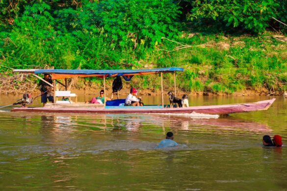 WhatsApp Image 2025-09-15 at 07.55.31 (2)