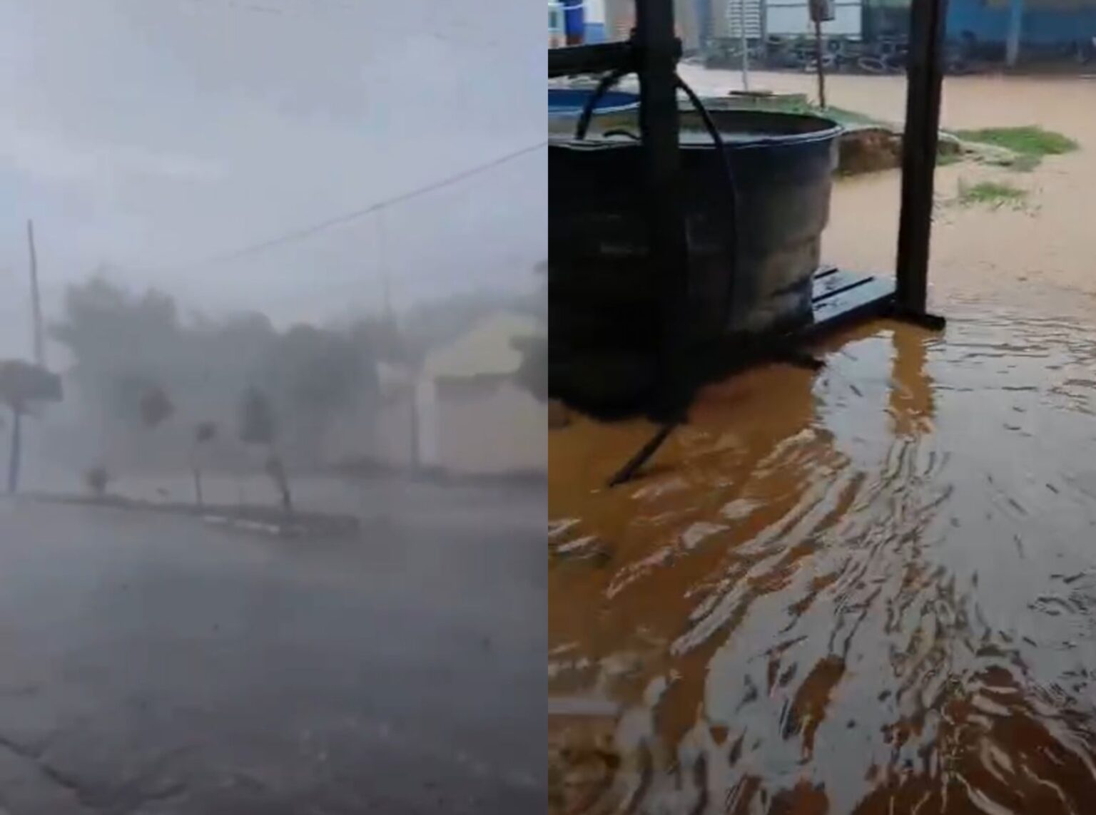 Forte temporal derruba árvores e inunda terrenos e ruas de cidades do interior do Acre; VÍDEO