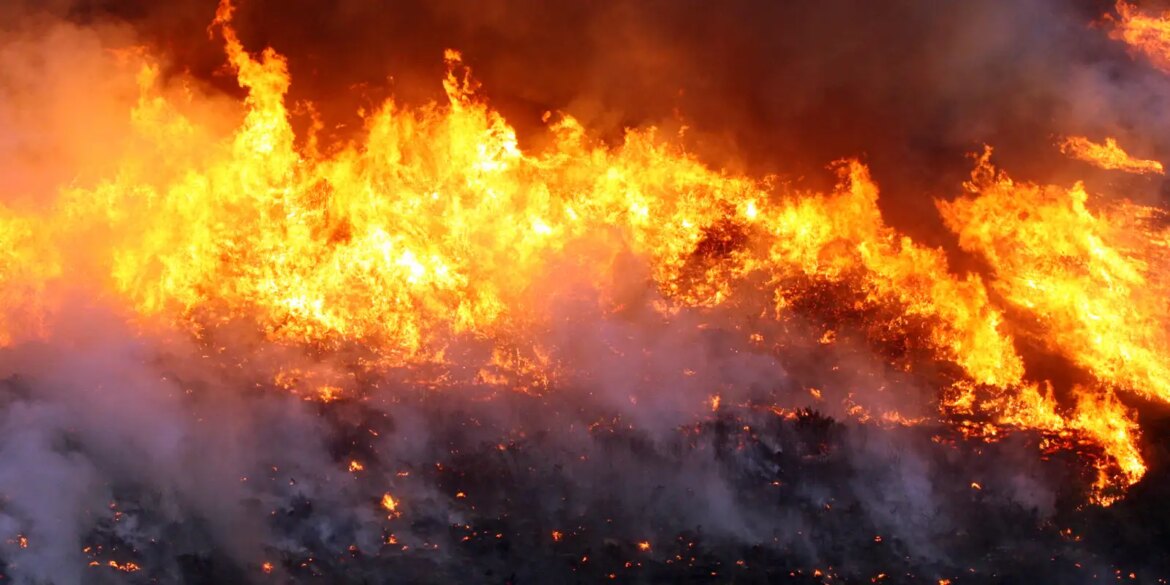 brigadistas-combatem-incendio-em-cavalcante,-goias