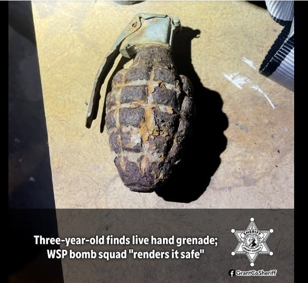 menino-de-3-anos-encontra-granada-ativa-da-2a-guerra-mundial-no-quintal-de-casa-nos-eua