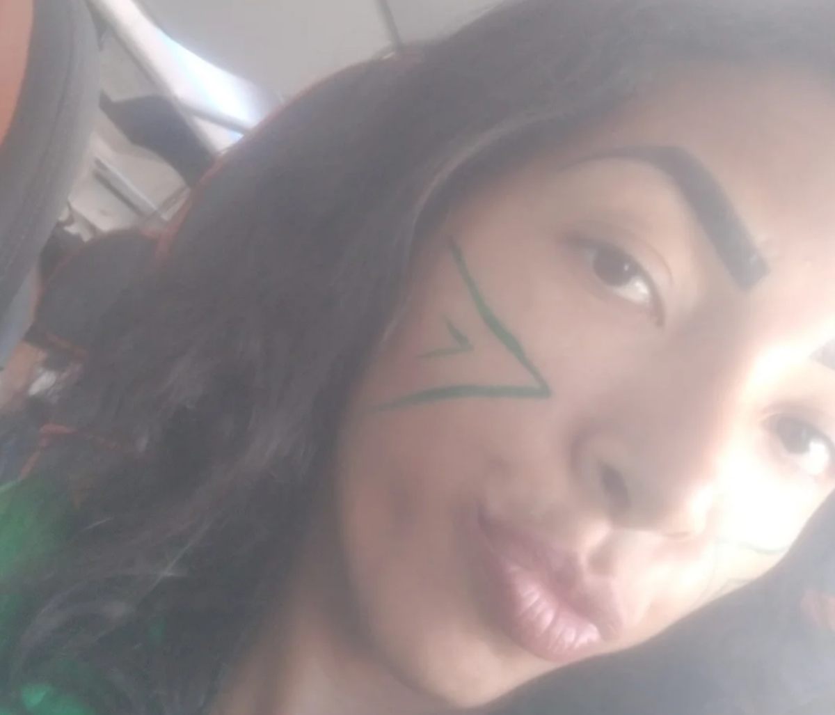 mulher-expulsa-de-aviao-gravou-video:-“petista-mostrou-rola-pra-mim”