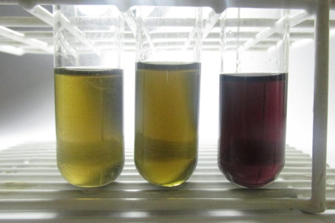 tecnica-desenvolvida-pela-unesp-detecta-metanol-em-bebidas-com-rapidez