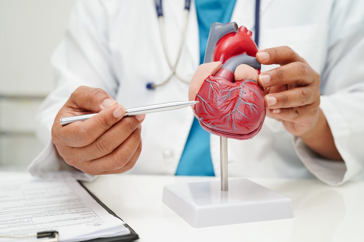 veja-3-chas-que-ajudam-a-proteger-o-coracao-e-a-melhorar-a-circulacao