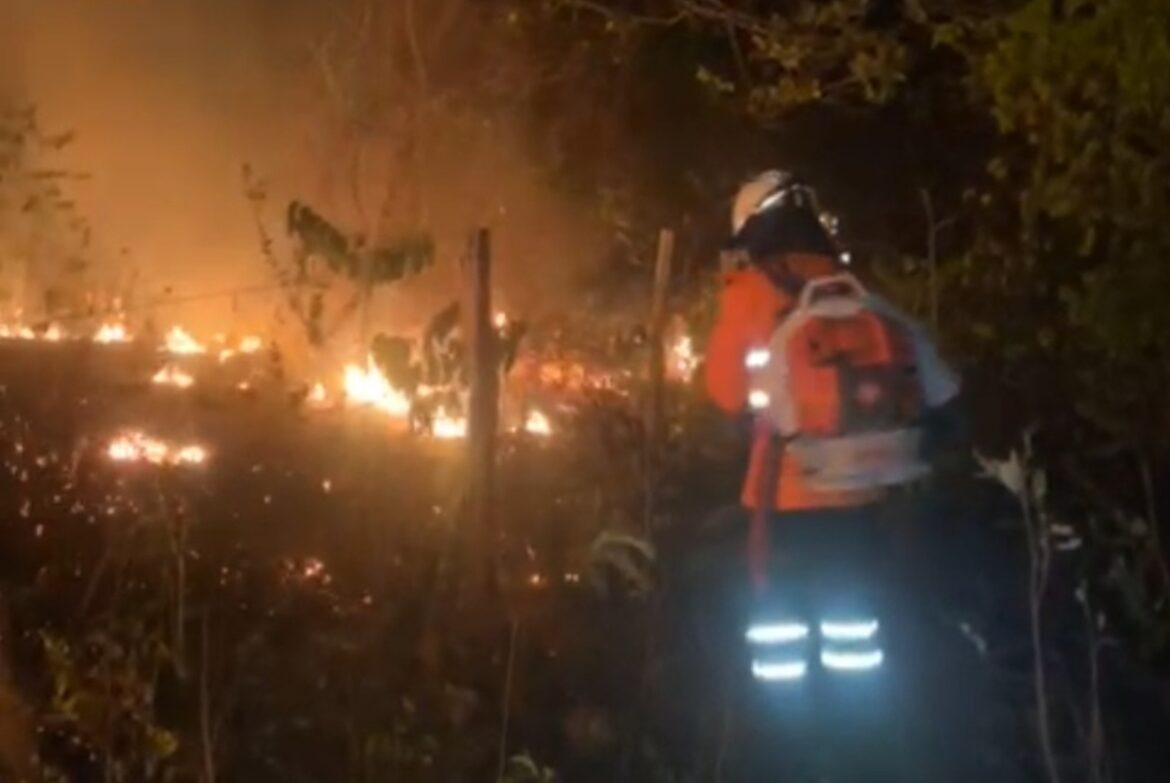 incendio-na-chapada-ja-passa-de-uma-semana;-cbmgo-intensifica-combate