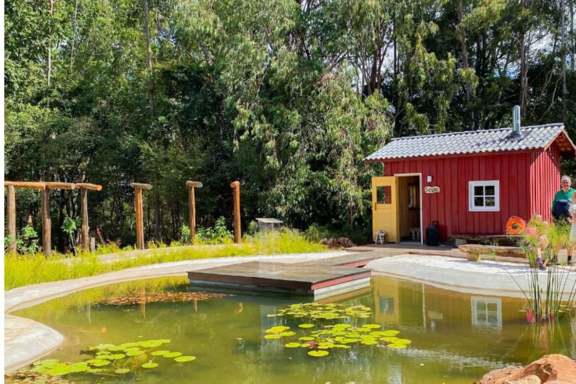 retirada-de-pinheiros:-jardim-botanico-reabre-somente-no-fim-de-semana