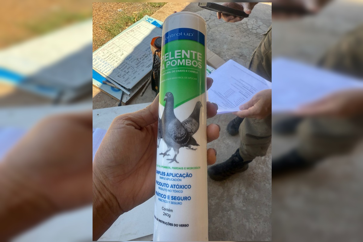 justica-proibe-empresa-de-repelir-pombos-apos-a-morte-de-50-aves