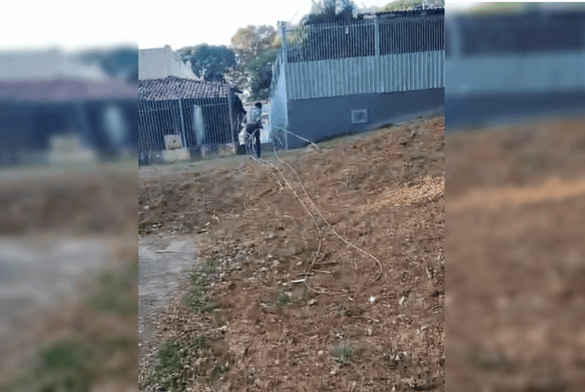 video:-homem-e-flagrado-furtando-cabos-em-bueiro-na-asa-norte