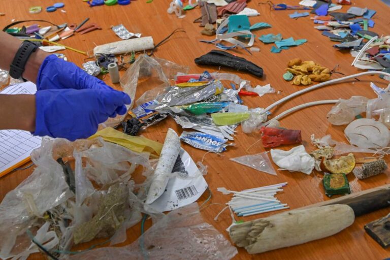 Maioria das praias do Brasil está poluída por microplásticos