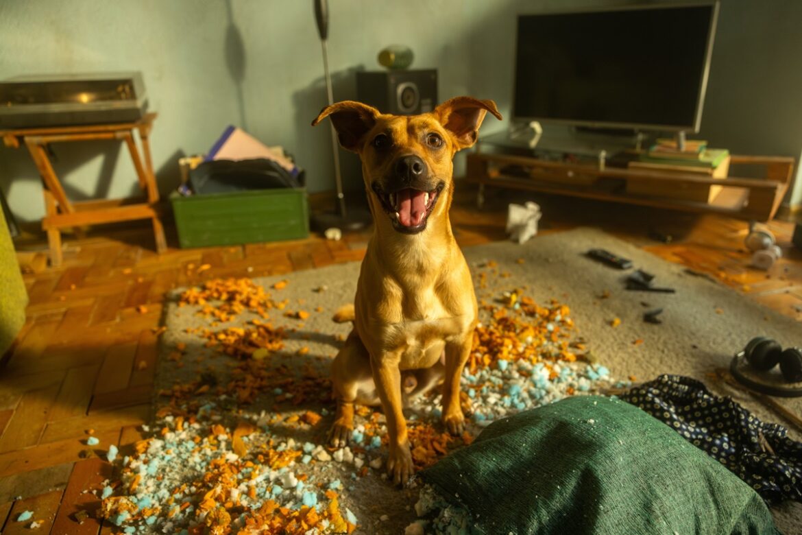 saiba-quem-e-amendoim,-o-caramelo-que-conquistou-os-brasileiros