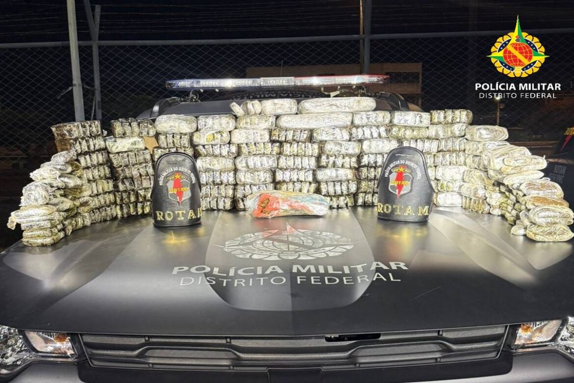 pmdf-apreende-490-placas-de-“haxixe-dry”-avaliadas-em-r$-1-milhao