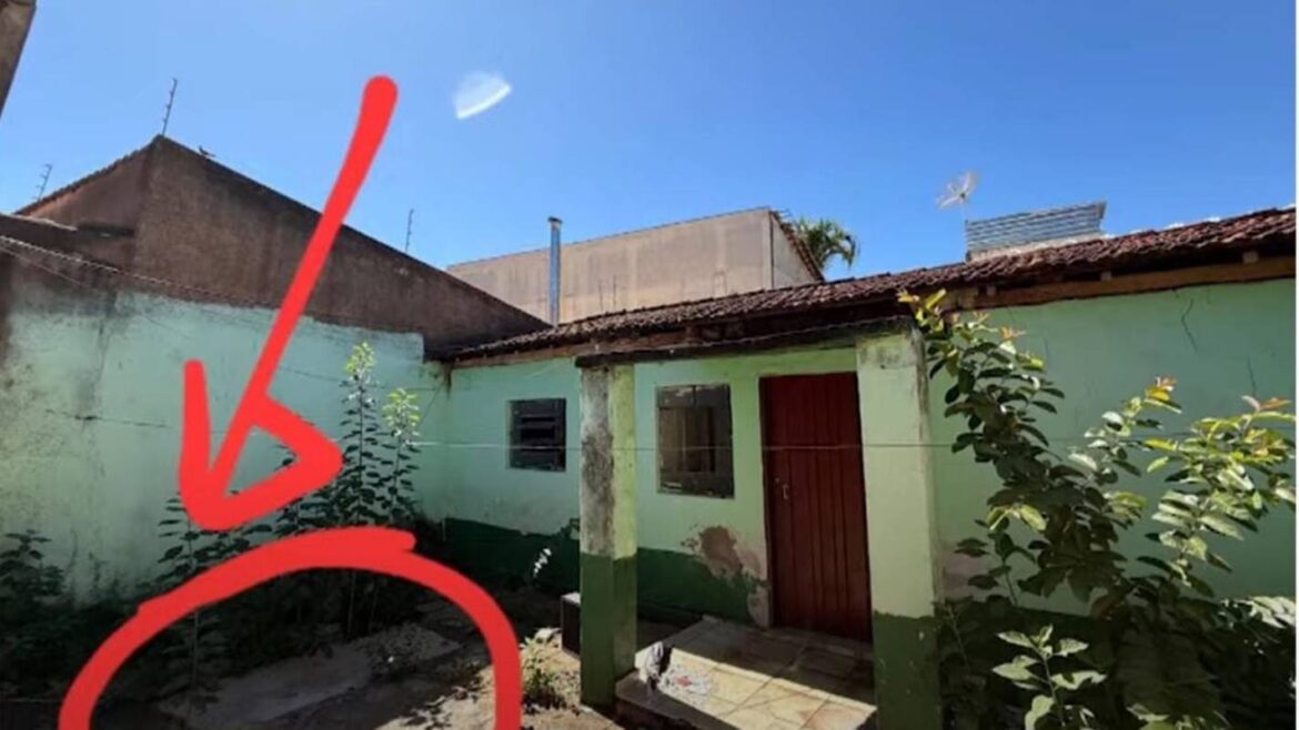 ossada-humana-e-encontrada-ao-lado-de-delegacia-em-goiania