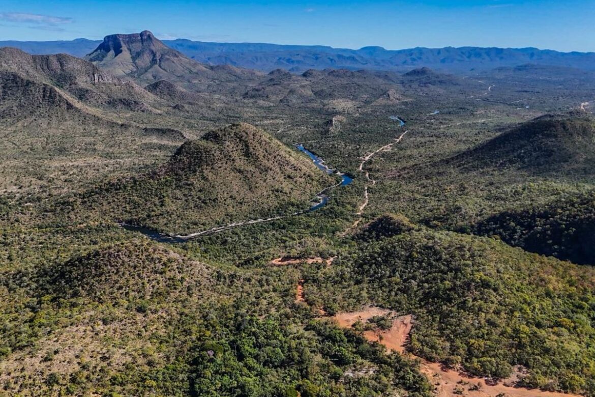 cop30:-estados-pedem-fundo-cerrado-e-inclusao-na-agenda-internacional