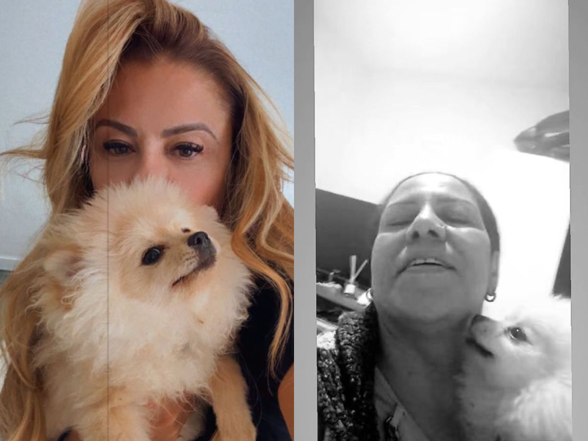 misterio-resolvido:-cachorro-de-poliana-rocha-e-achado-preso-em-casa