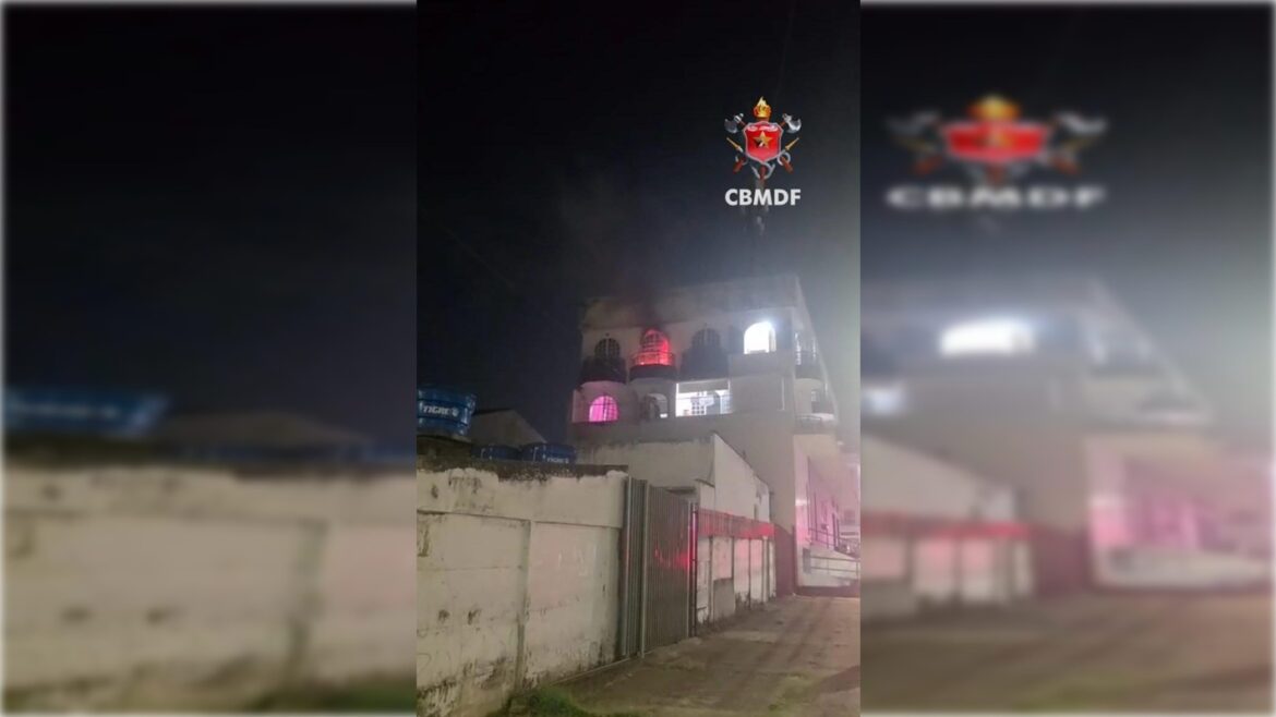 dois-animais-de-estimacao-sao-resgatados-de-incendio-em-apartamento