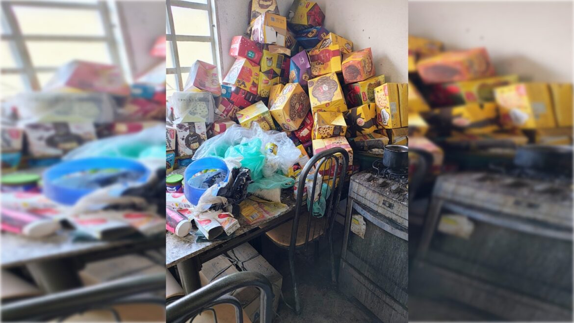 video:-filho-mantinha-mae-idosa-em-condicoes-insalubres-ha-15-anos