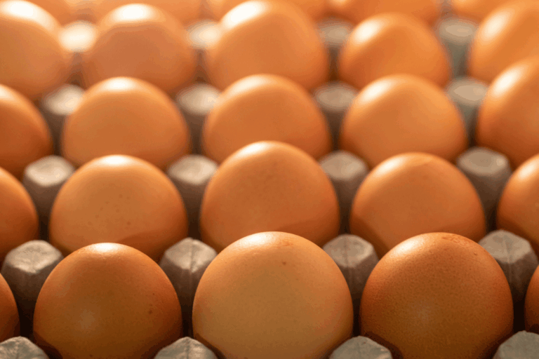 Dia do Ovo: endocrinologista revela benefícios incríveis do alimento