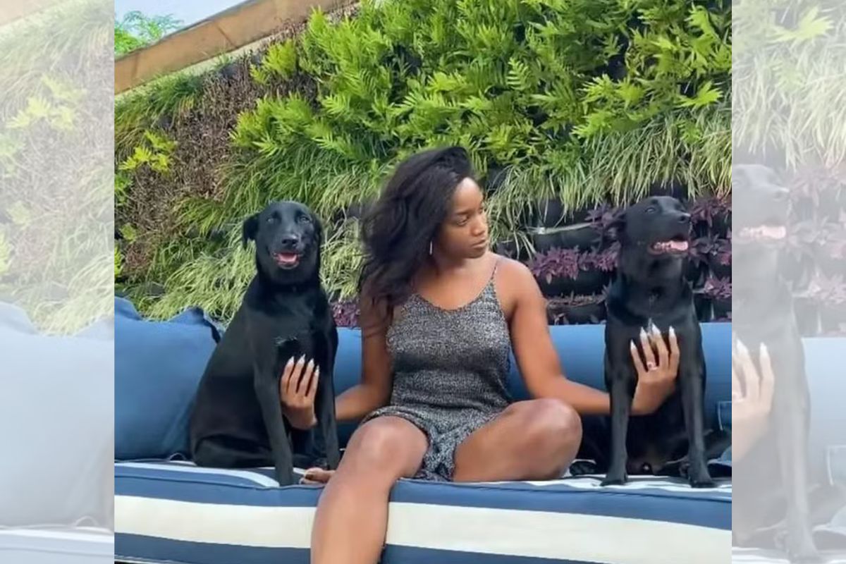 cantora-iza-revela-conexao-“paranormal”-com-sua-cadela.-entenda