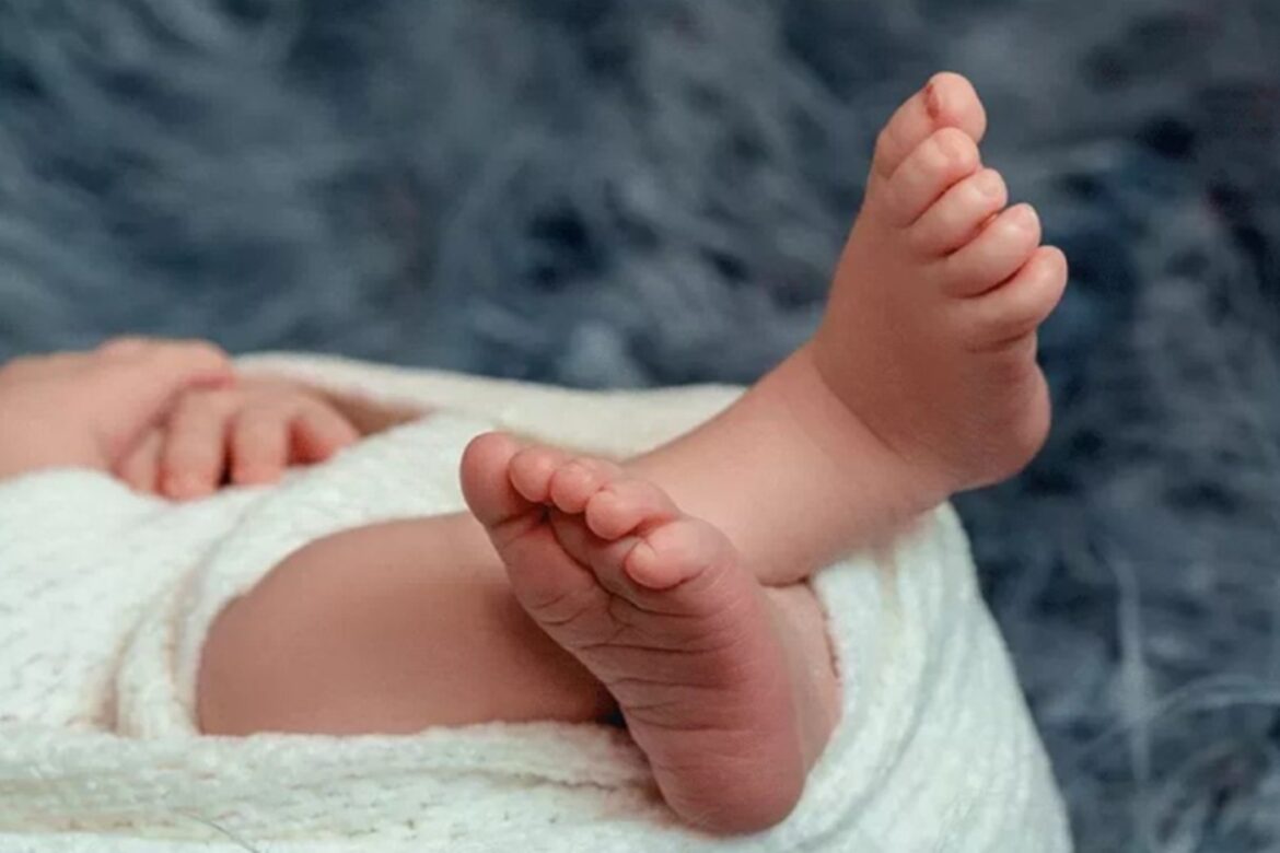 relator-faz-acordo-com-o-governo-para-ampliacao-da-licenca-paternidade