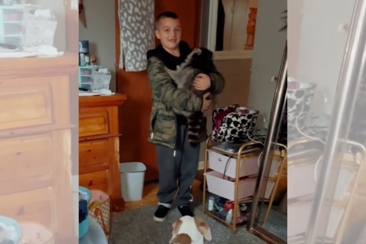 mae-entra-em-panico-ao-ver-filho-com-animal-selvagem-em-casa.-entenda