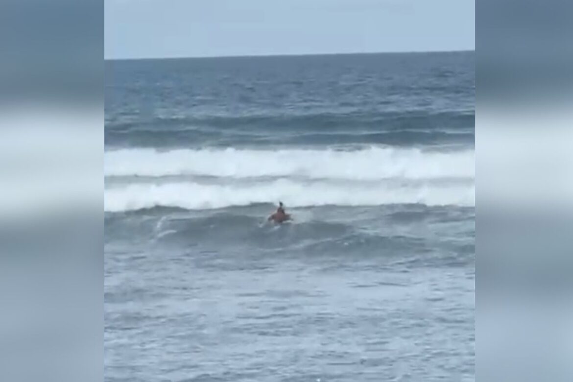 surfista-ajuda-a-salvar-banhistas-de-afogamento-no-litoral-de-sp.-veja