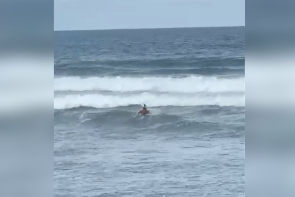 surfista-ajuda-a-salvar-banhistas-de-afogamento-no-litoral-de-sp.-veja