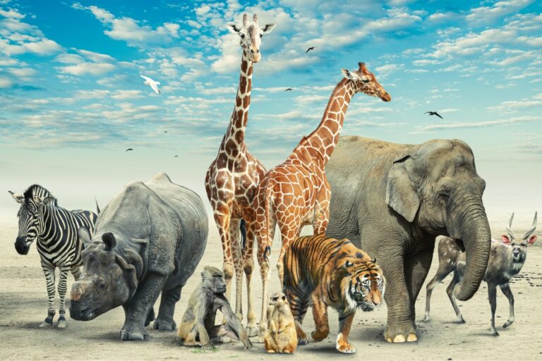 Estudo mostra que primeiros sul-americanos caçavam animais gigantes