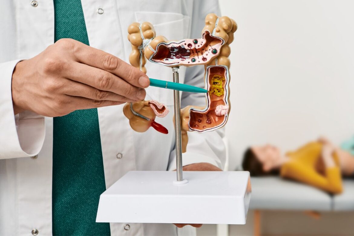 grao-popular-ajuda-a-regular-o-intestino-e-apoia-a-saude-dos-rins