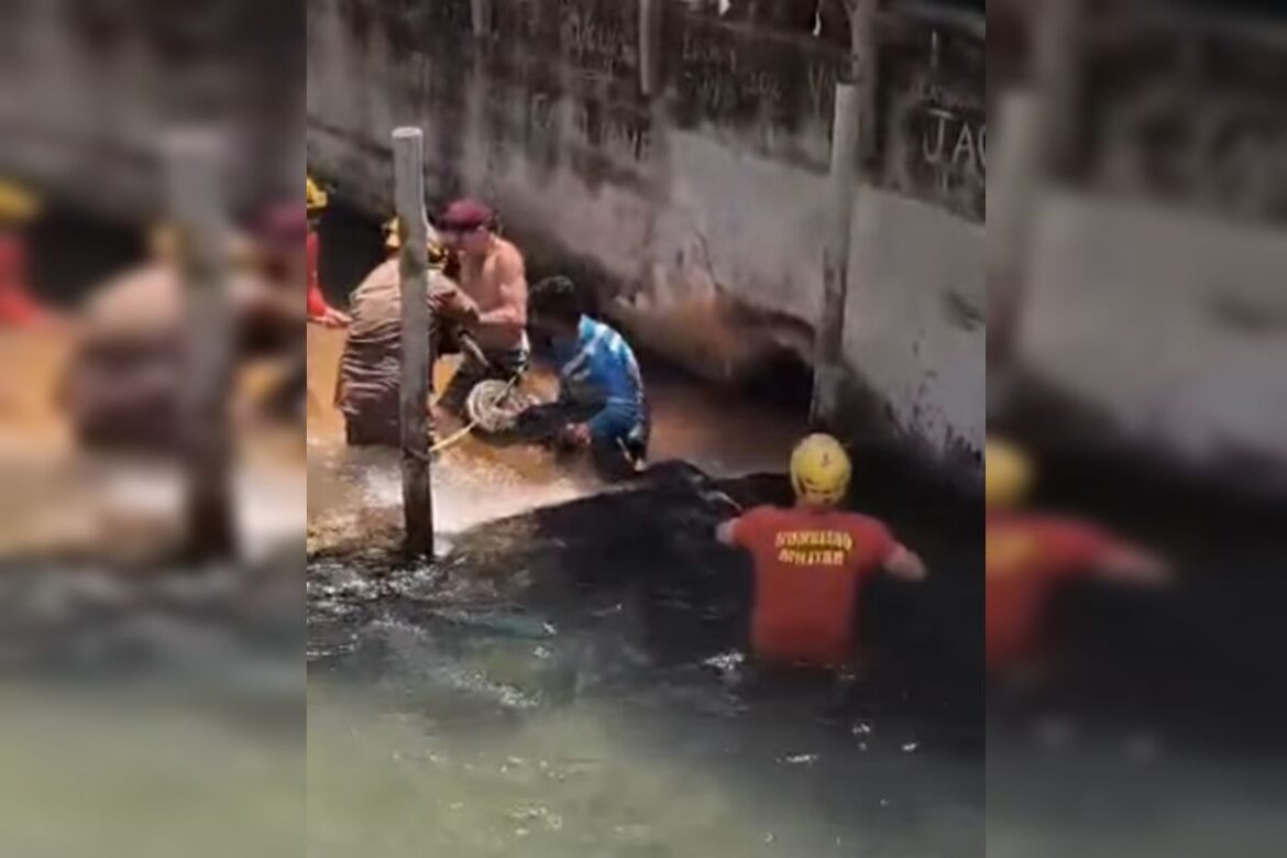 sucuri-gigante-e-encontrada-em-hotel-de-caldas-novas.-veja-video