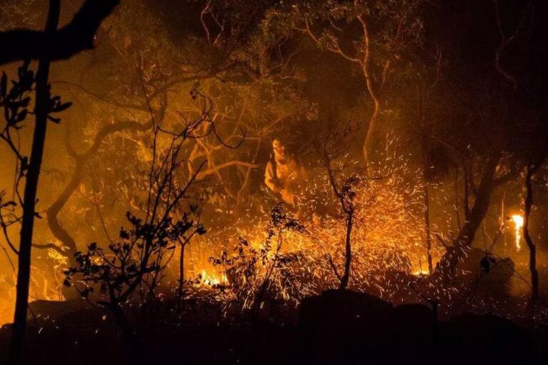 Incêndio na Chapada dos Veadeiros causa destruição no Parque Nacional