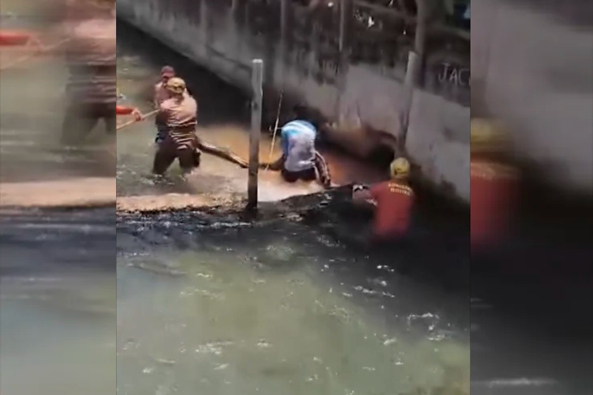 video:-sucuri-gigante-surpreendeu-equipes-de-resgate:-“e,-bichona”