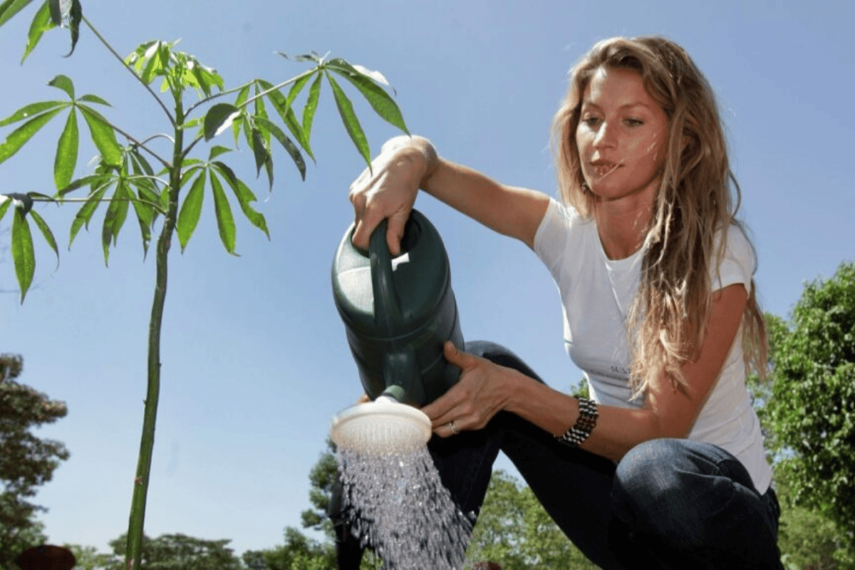 gisele-bundchen-se-une-a-principe-william-por-causa-ambiental