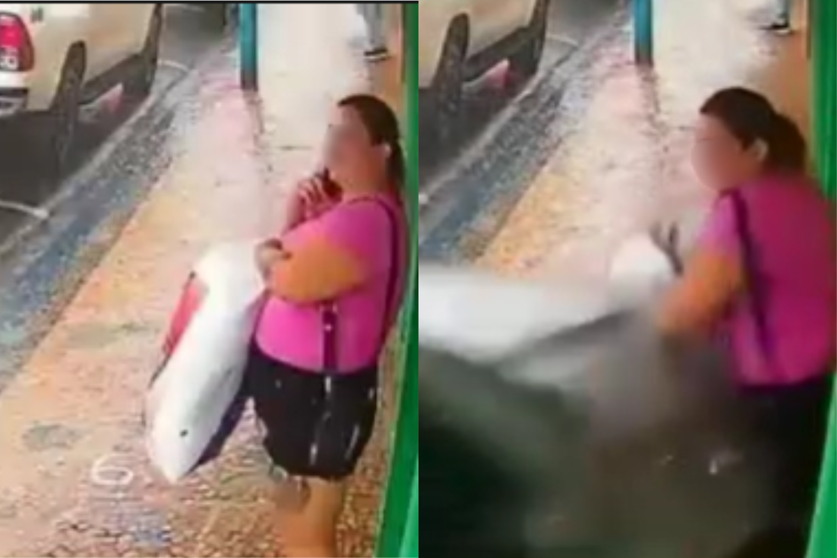 video:-carro-invade-calcada-e-atropela-mulher-parada-em-frente-a-loja