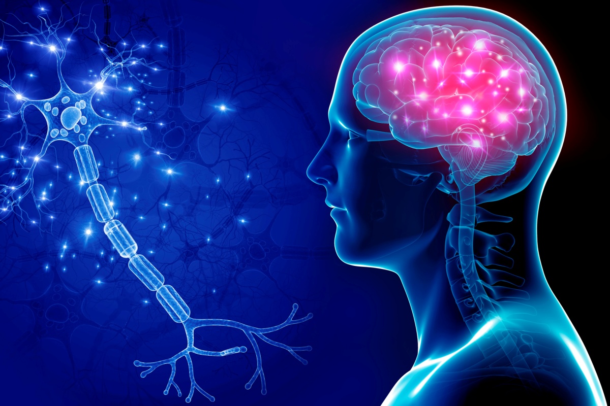 cerebro-masculino-diminui-mais-rapido-com-o-envelhecimento,-diz-estudo