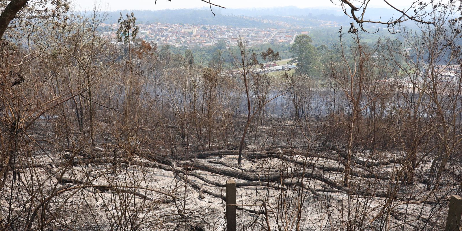 Estudo aponta que financiamento climático no Brasil é desigual