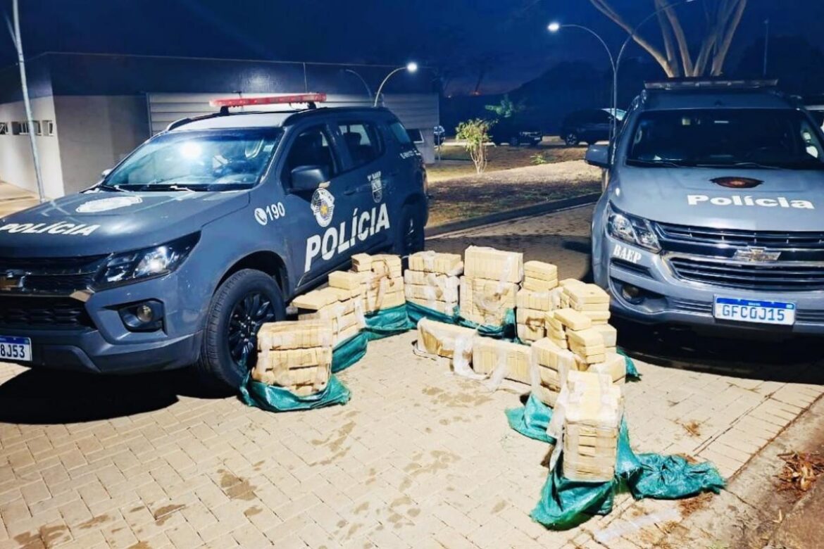 meia-tonelada-de-crack-e-apreendida-em-carga-de-gelo-e-peixe-em-sp