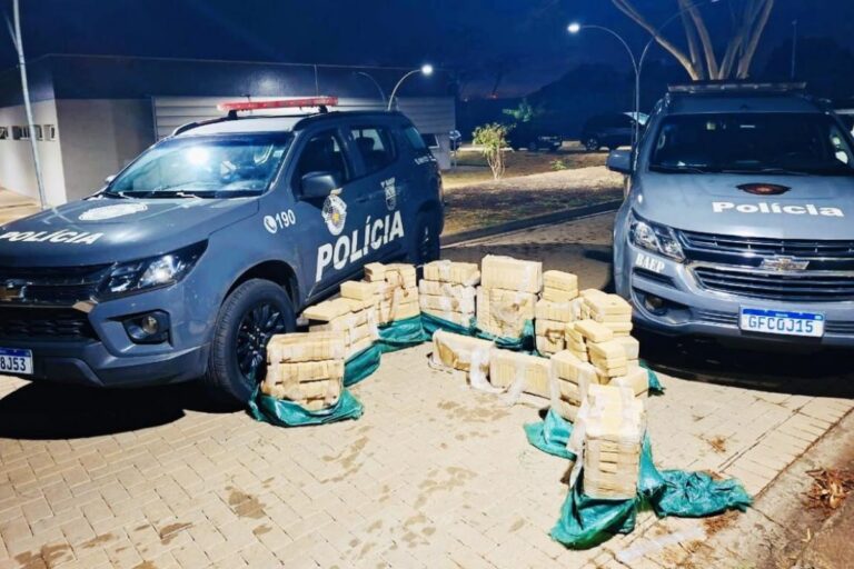 Meia tonelada de crack é apreendida em carga de gelo e peixe em SP