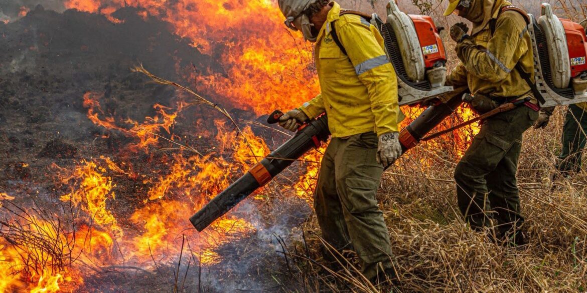 pre-cop:-brasil-propoe-resposta-global-a-incendios-florestais