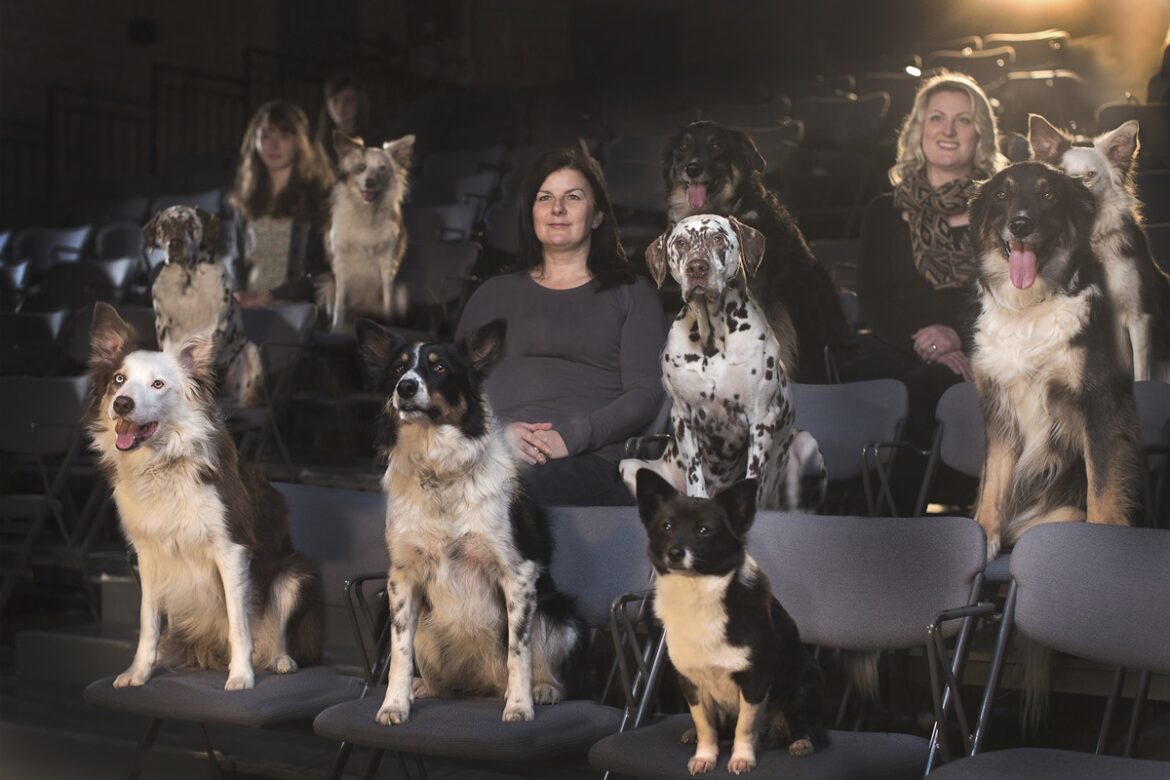 10-filmes-de-cachorro-para-maratonar-e-“chorar-litros”