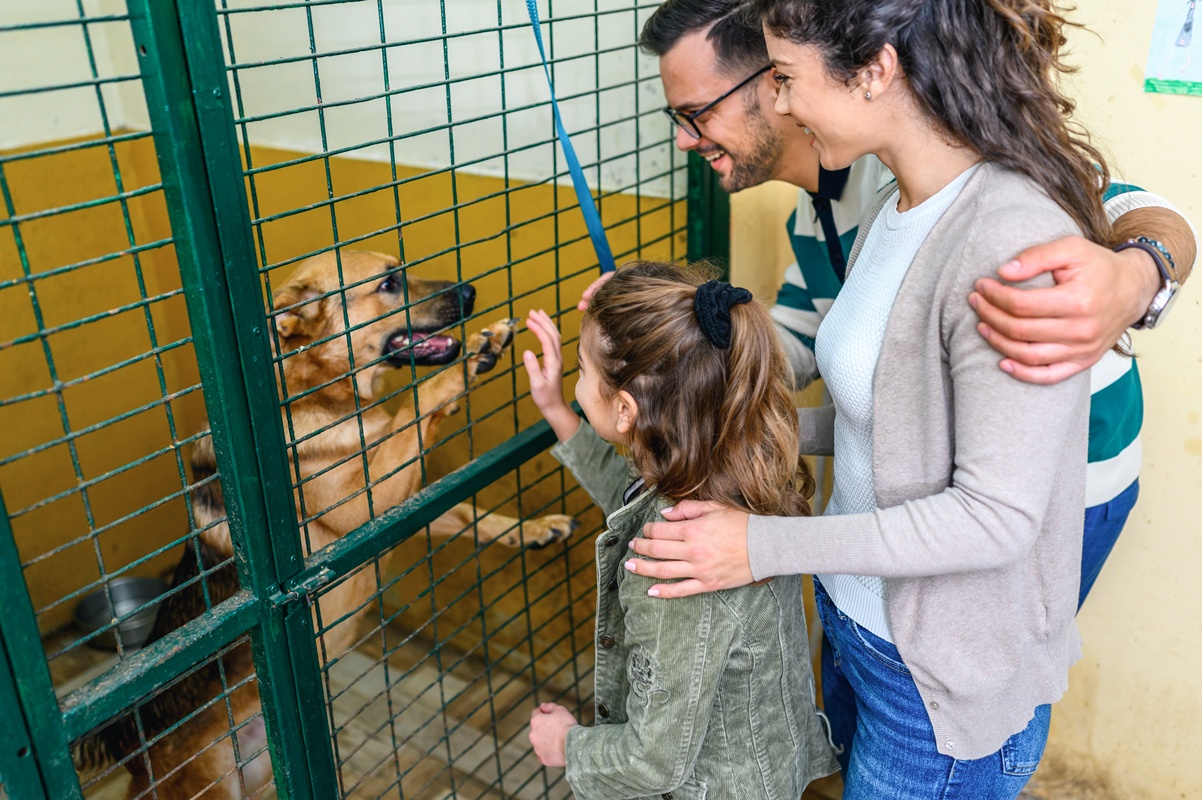 por-que-adotar-um-pet-idoso-pode-transformar-duas-vidas?